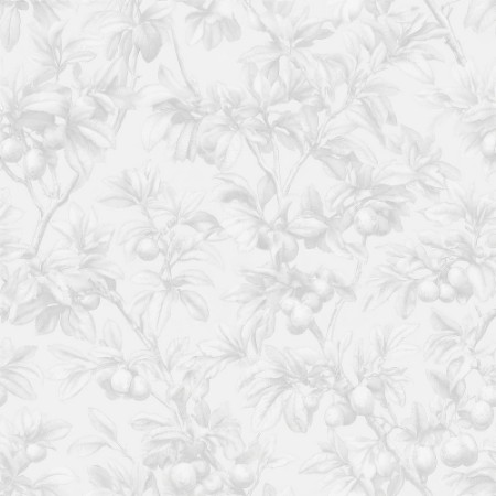 Picture of Esaias Grey - 1105101-05